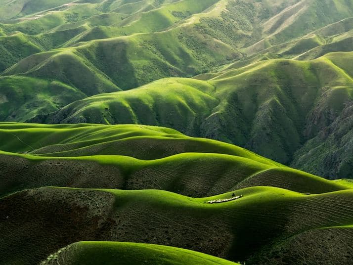 Paisaje cafetero colombiano, plan de viaje al Eje Cafetero